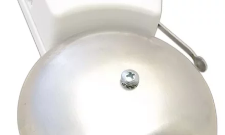 Dzień bez dzwonków