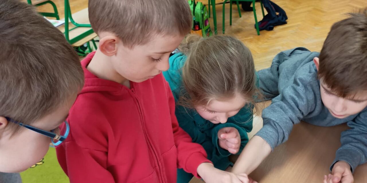 Hodowla rzeżuchy w klasie I