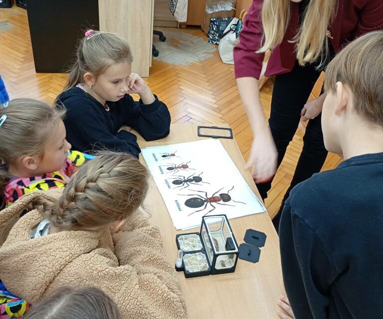 Mrówki w kl.3