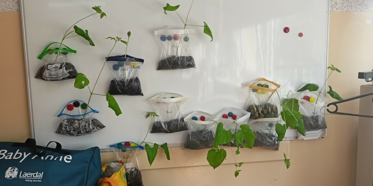 Program dla szkół kl. 2