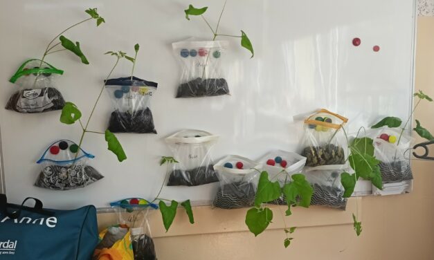 Program dla szkół kl. 2