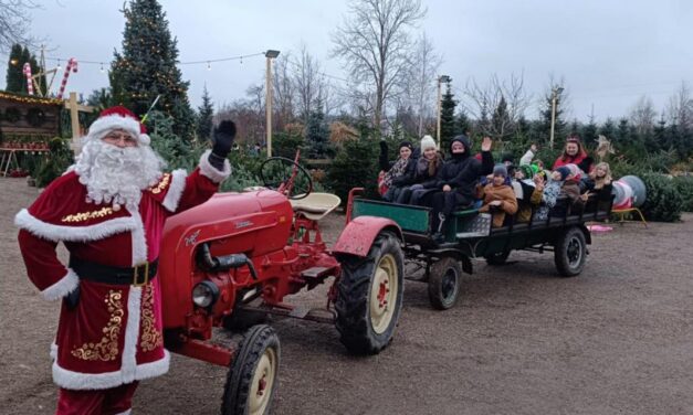 Magia Świąt w Zagórzynie