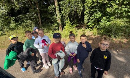 Projekt w klasie I