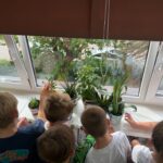 Kącik przyrodniczy w klasie I